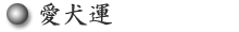 愛犬運